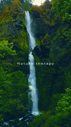 Nature therapy