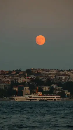 Yeni bir yıl