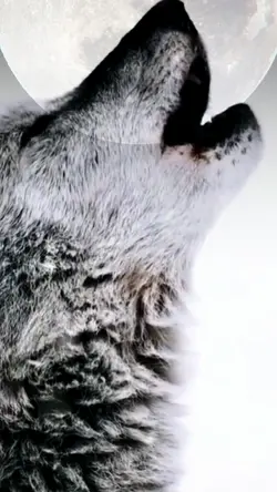 WOLF SPIRIT