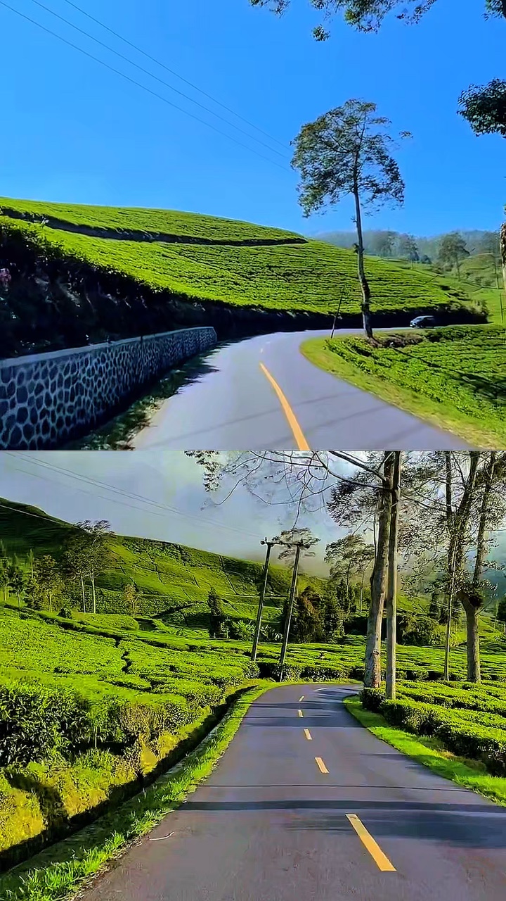 2 videos 1 diseño 