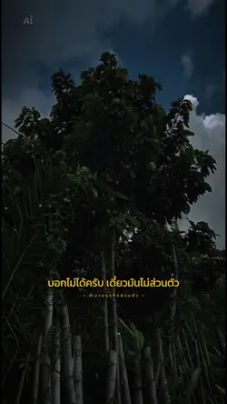 ทำงานธุรกิจส่วนตัว