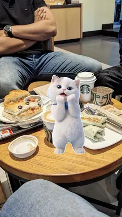 cat dance trend