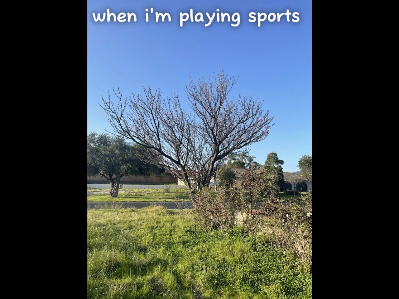 some sports i like! 