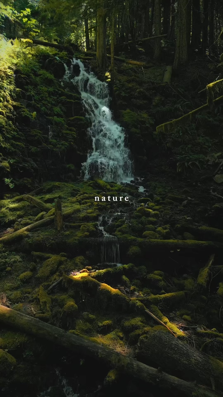Naturaleza