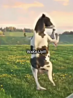 wake up!