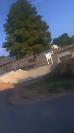 Scooter clips