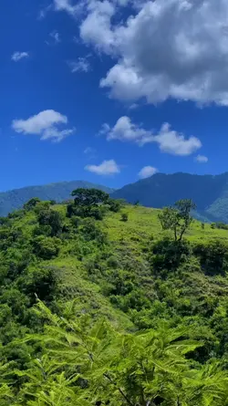 nature