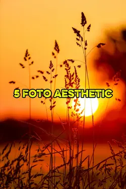 5 foto aesthetic
