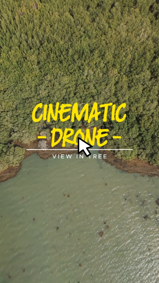 KINEMATIC DRONE