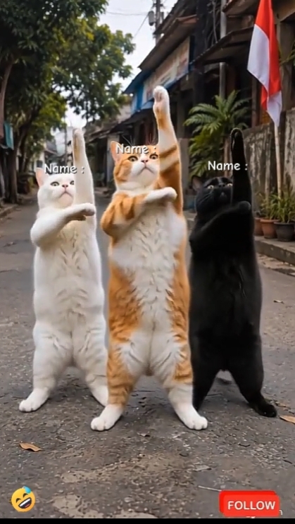 Dance Trend