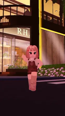 dc roblox