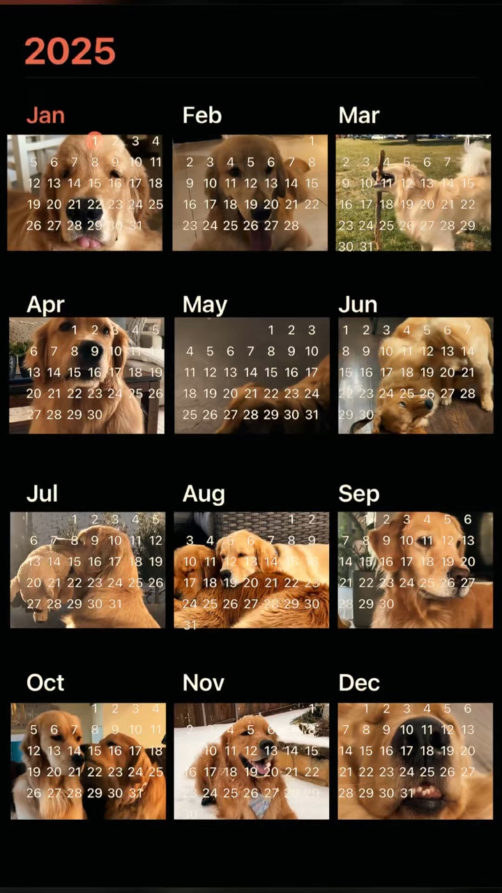 2025 calendar recap
