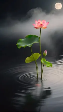 Live wallpaper