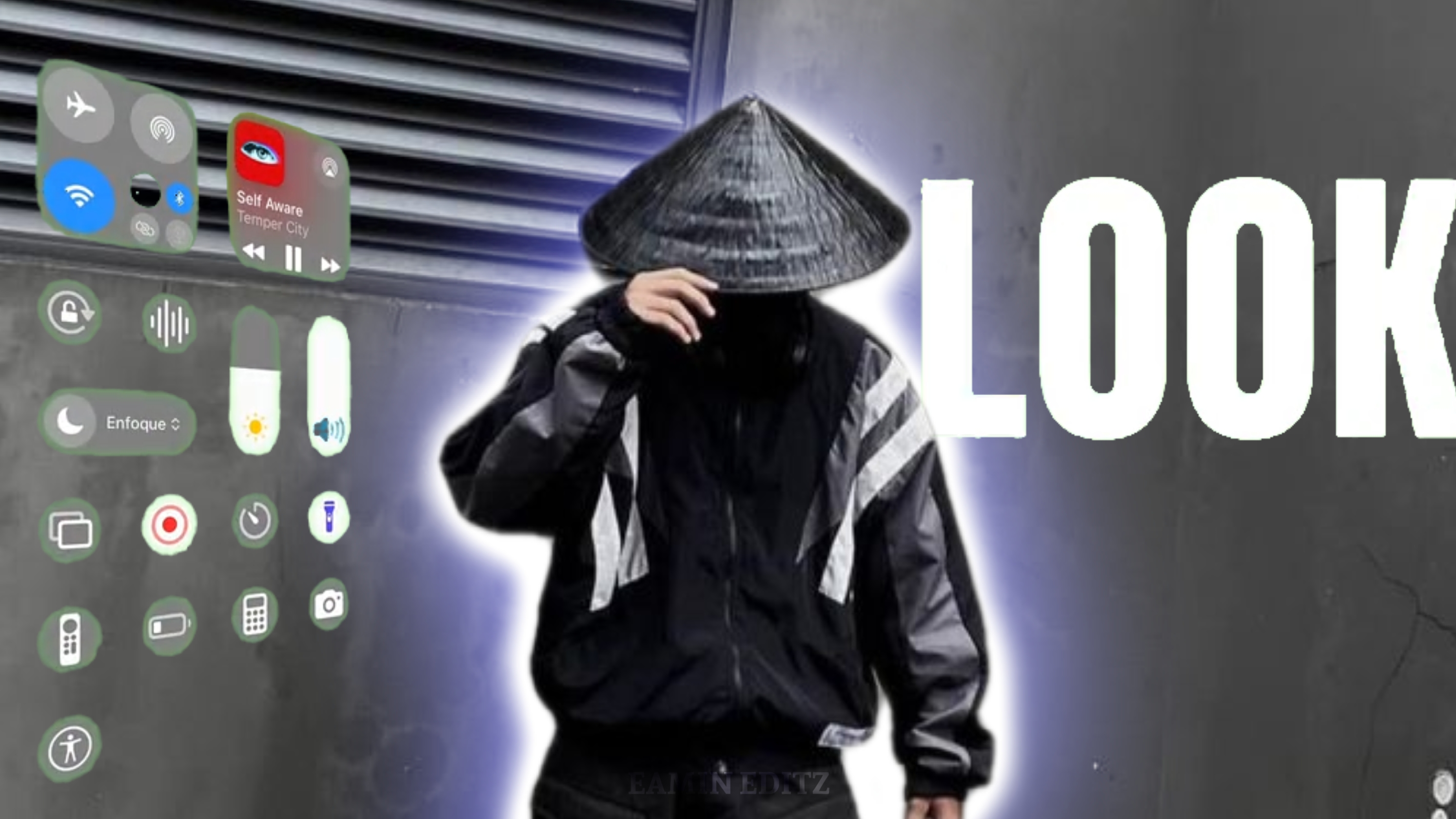 Cover Picture
