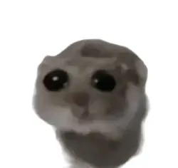 hello