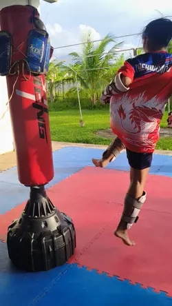 Taekwondo highlights