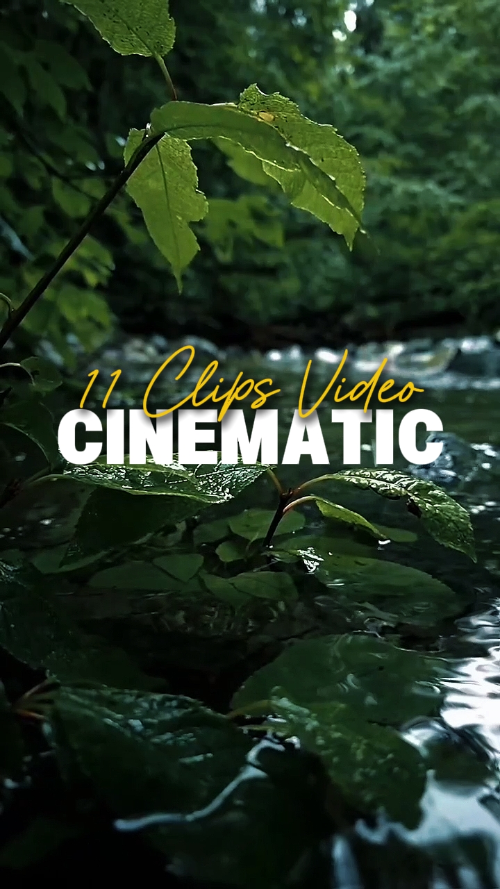 11 Mga Clip na Video 