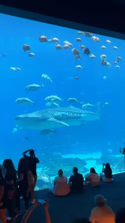 Today at aquarium 