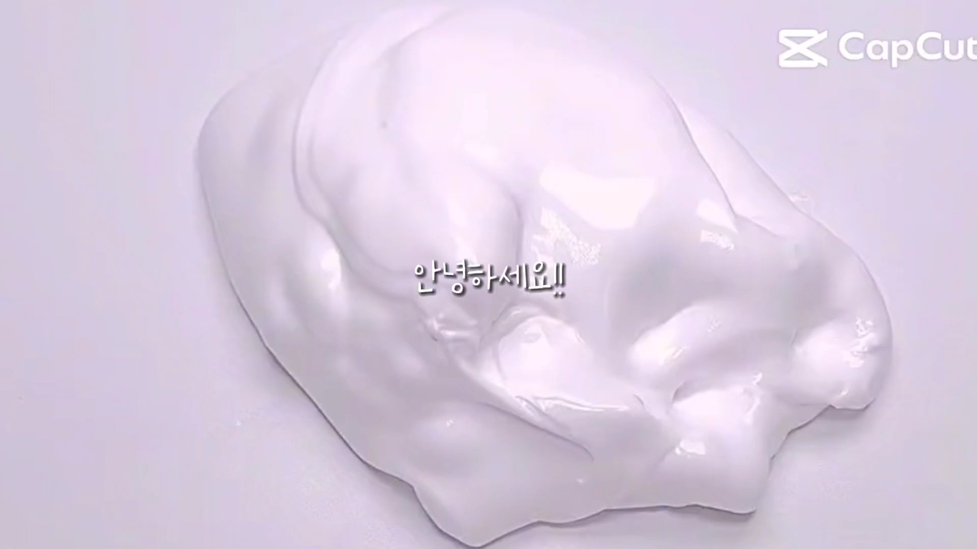 공지+반박방+공약