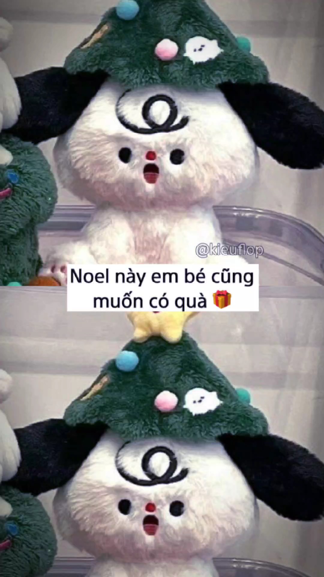 Noel cute 2023