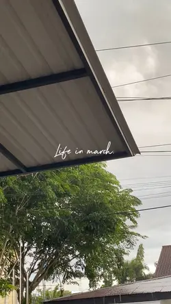 Life in march 