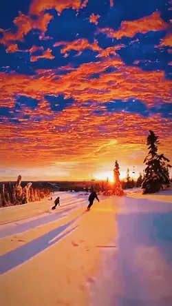 Snowboard