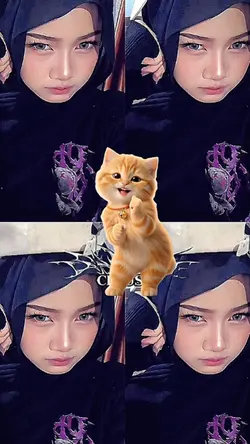 TREND KUCING JOGET