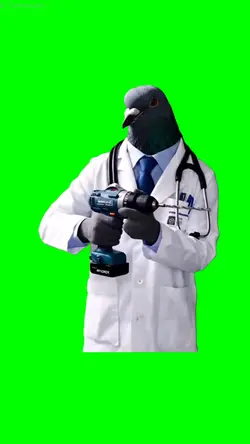 pigeon doctor dril 