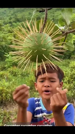 OIOIIOIIOOIOI