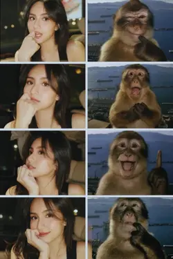 trend pose monyet