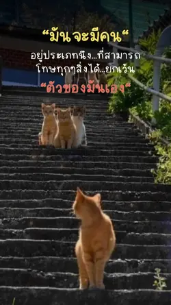 บางคนดีแต่โทษคนอื่น