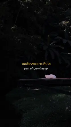 ในทุกๆวันที่อายุเพิ่มมากขึ้น