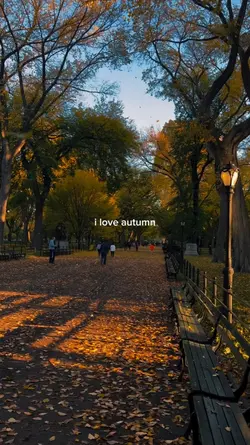 i love autumn