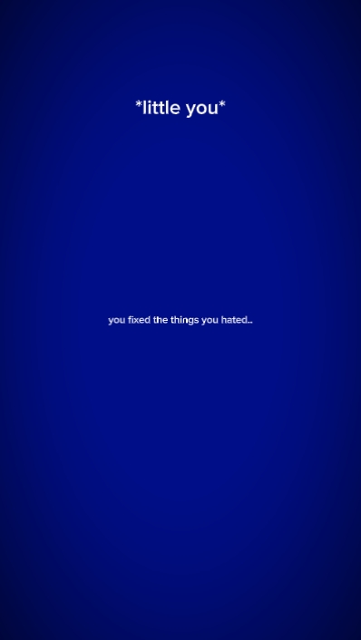 fixedthethingsyouhtd