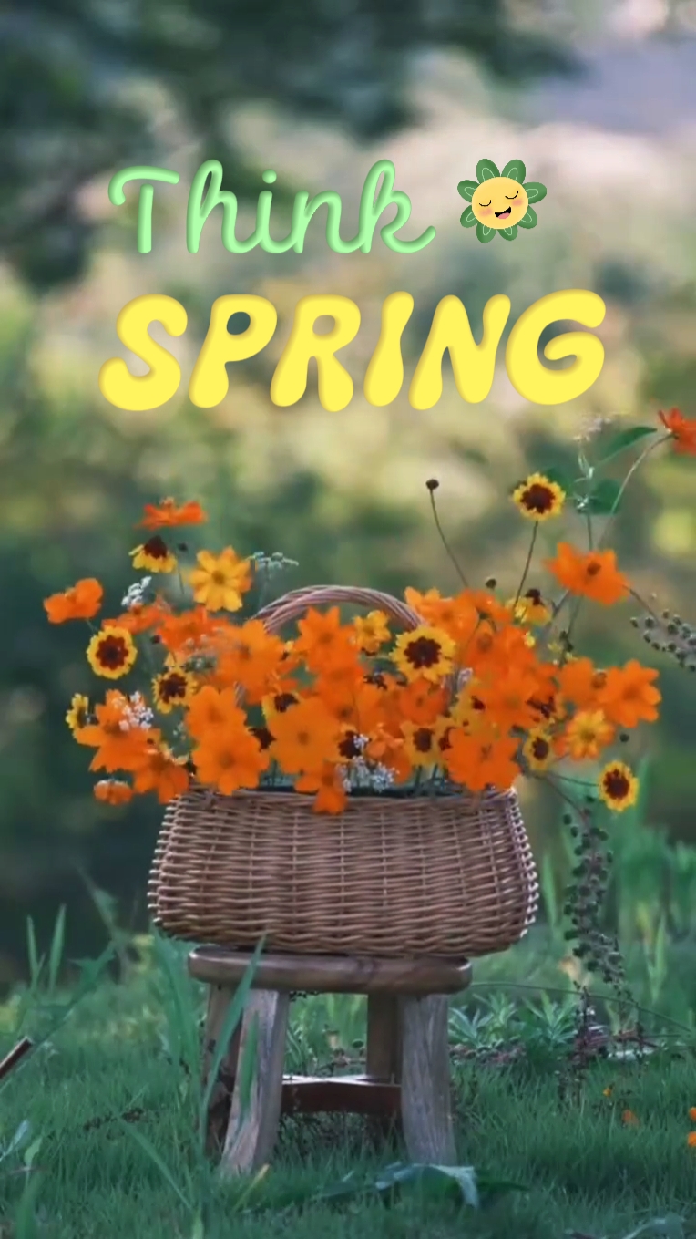 hello Spring 