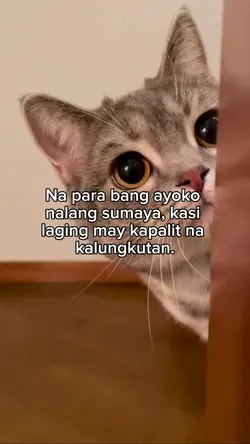 Na para bang ayoko n