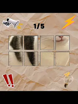 Word Beat Transition