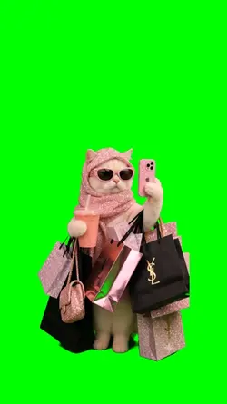 RICH CAT GIRL VIBES