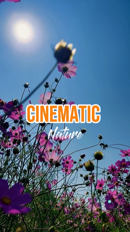 CINEMATIC Nature 