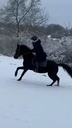 SlowmoSnow