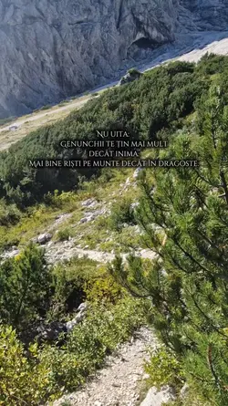 Munte vs. Sentimente