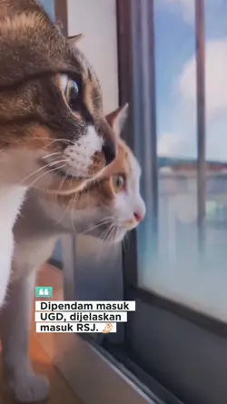 Dipendam masuk UGD