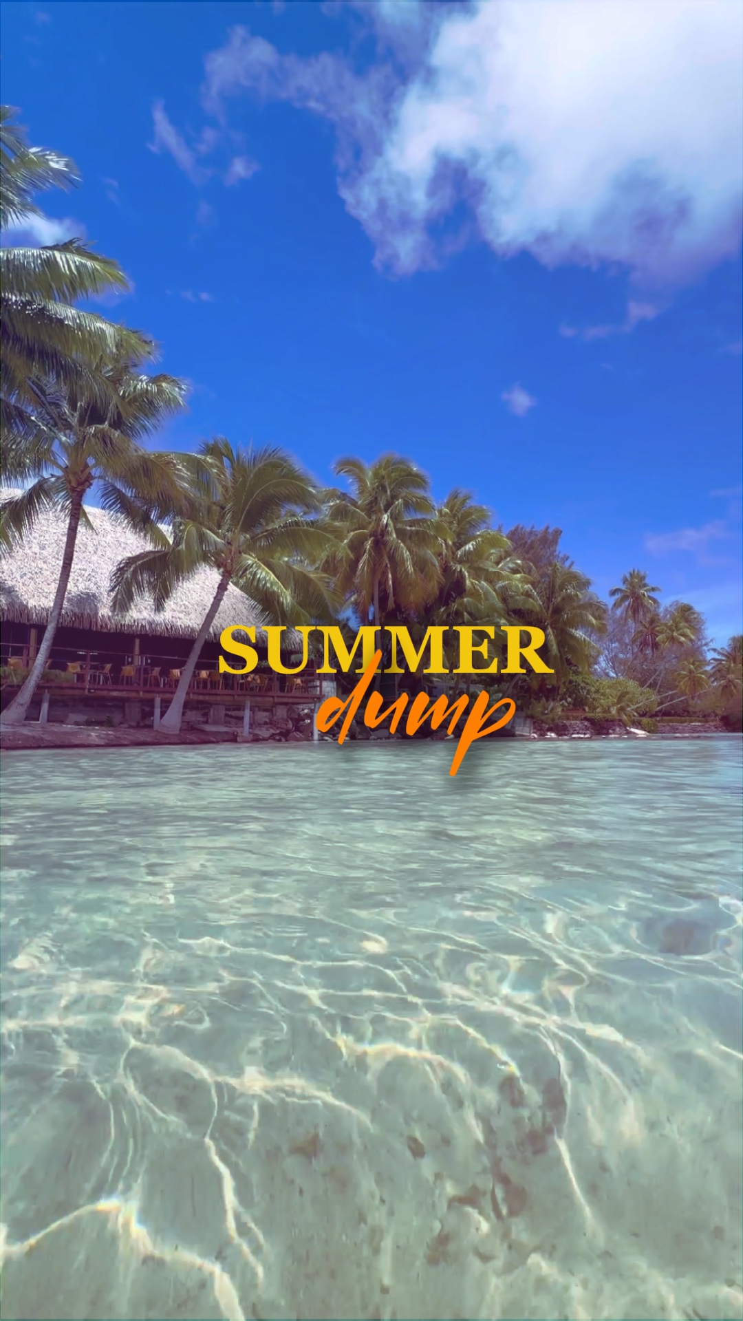 SUMMER DUMP