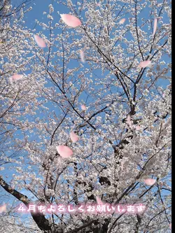 ４月もよろしくお願いします