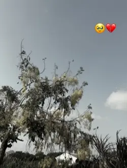 🥹💔