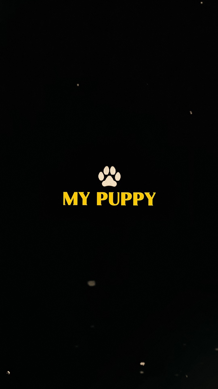 My puppy 