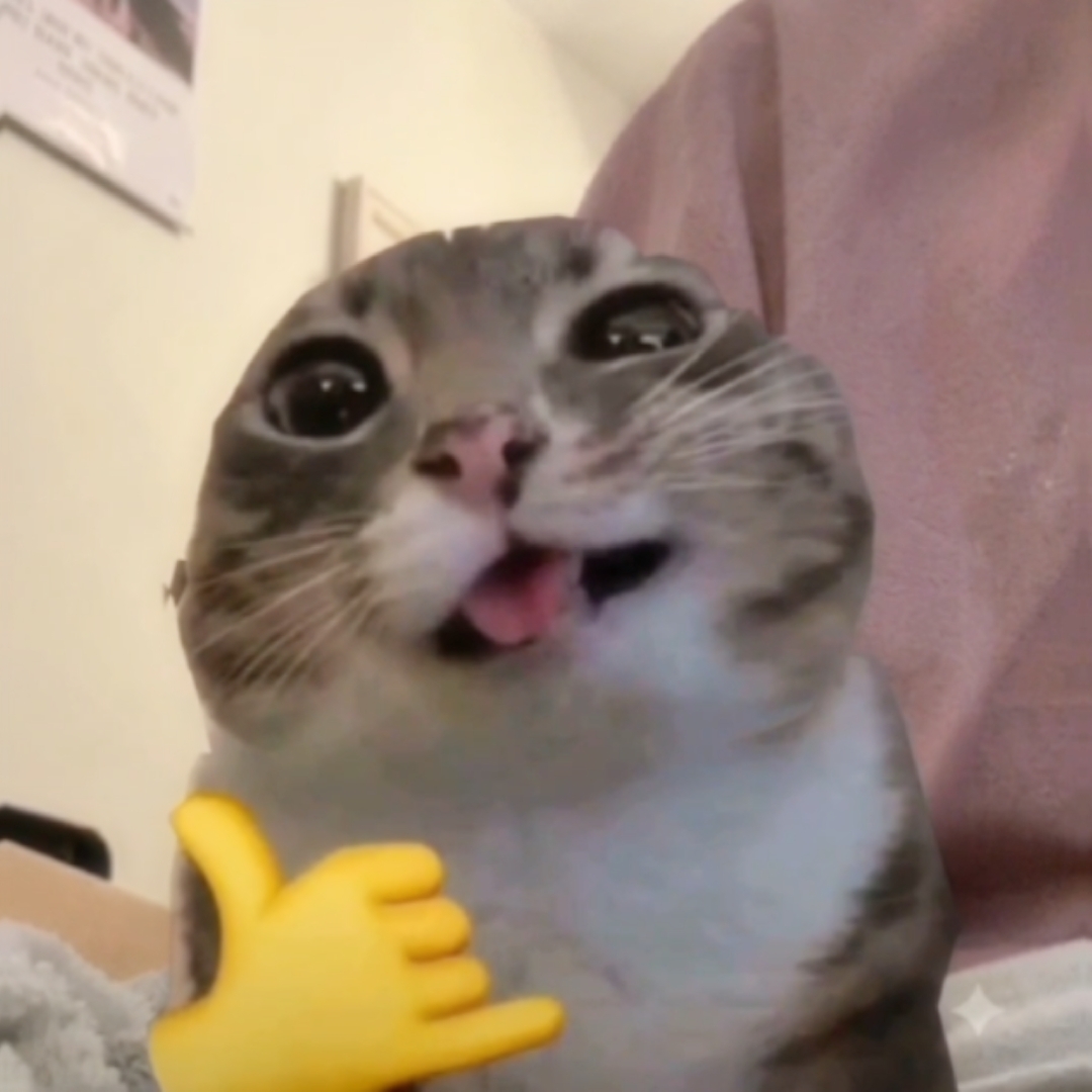 kucing edit