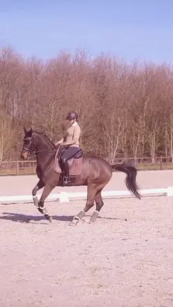 slowmo eqqq