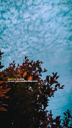 Nắng ấm xa dần