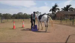 the Night that never